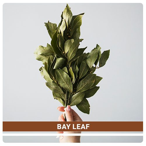 Best Quality Spices- Bay Leaf