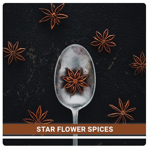 Best Quality Spices- Star Flower