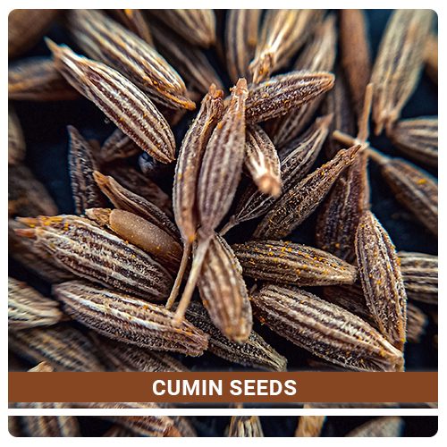 Best Quality Spices- Cumin Seeds