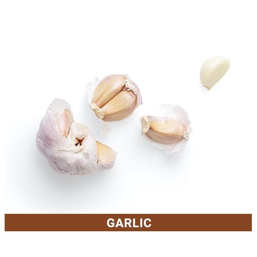 Best Quality Spices- Garlic