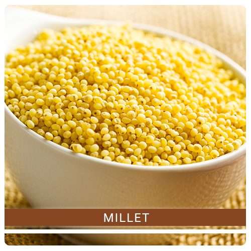 Best Quality Millet