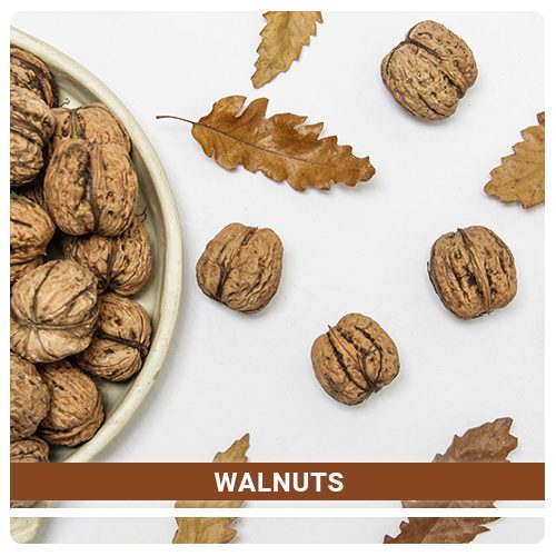 Best Quality Dry Fruits-Walnuts